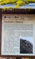 O poustevníkovi.