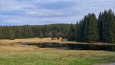Huťský rybník.