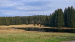 Huťský rybník.