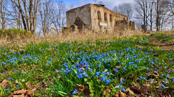 Zřícenina kostela sv. Anny.
