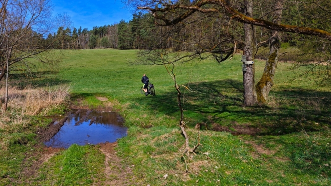 V údolí Kořenského potoka.