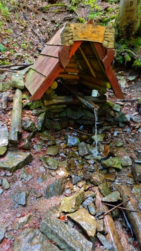 Pramen pod Velkým Javorníkem.