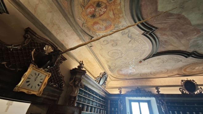 Jednorožec u narvala.