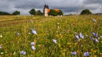 Ke kostelu sv. Markéty v Šonově jdeme přes rozkvetlou louku.