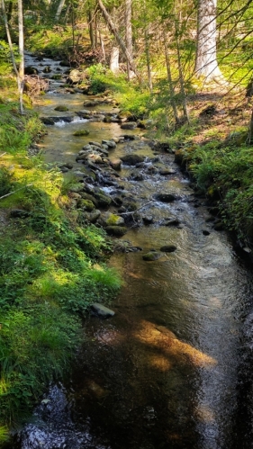 Velká Řezná (Deffernik).