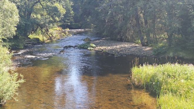 U soutoku Křemelné s Prášilským potokem.