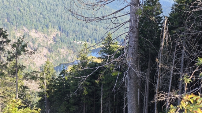 Malé Javorské jezero je hluboko pod námi. Ale to nejstrmější stoupání nás právě čeká.