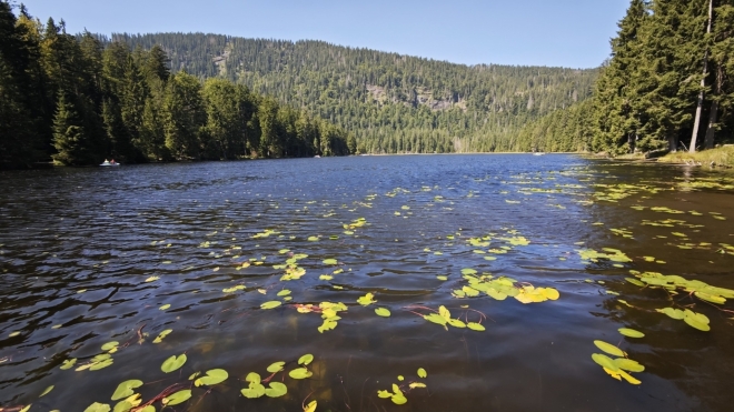 Velké Javorské jezero. Jako ostatní jezera Šumavy je ledovcového původu.