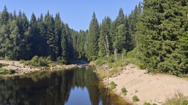 Vydra z hradlového mostu.