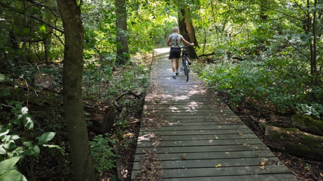 Povalový chodník k soutoku Moravy a Dyje...