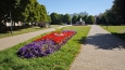 Janáčkovy sady 