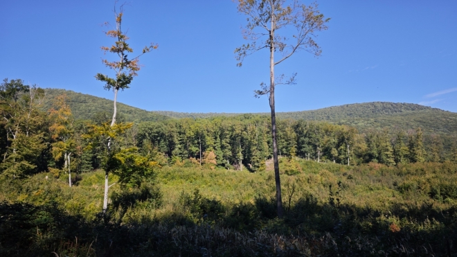 Nejvyšší vrch v Malých Karpatech Záruby.