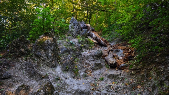 Stezkou jdeme zpět k autu pro elektrokola.