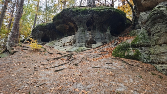 Stoupáme výš k Droužkovské lesní cestě.