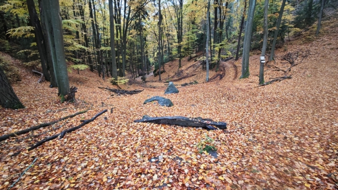 Sestup do rokliny...