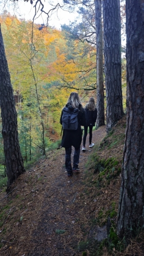 Od kempu ATC Kokořín jsme vystoupali pod skalní stěny, jež dolinu lemují.