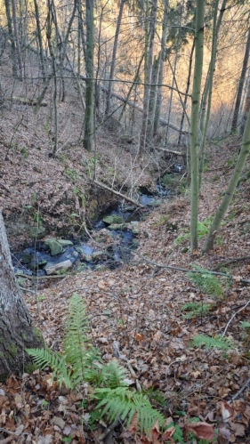 Ve svazích nad Lužnicí.