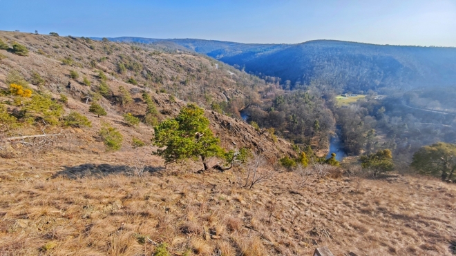 Řeka Jihlava zde meandruje hlubokým kaňonem.