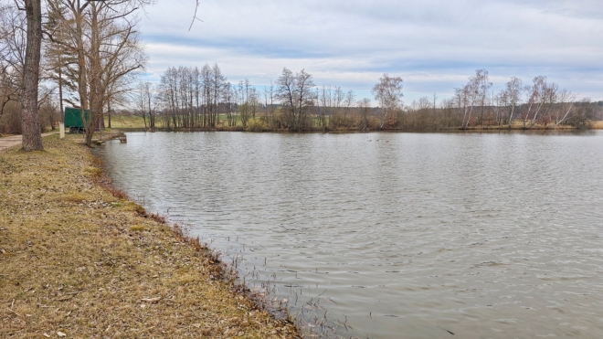 Stáňův rybník u Trhových Svinů.