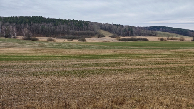 Údolí Svinenského potoka.