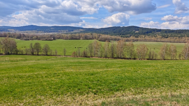 Želnavská hornatina - VVP Boletice.