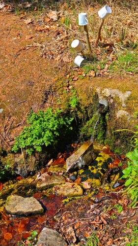 Pramen pod Plánským.