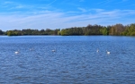 Zlivský rybník.